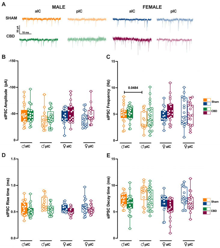 PMC11394289 – cells-13-01486-f008