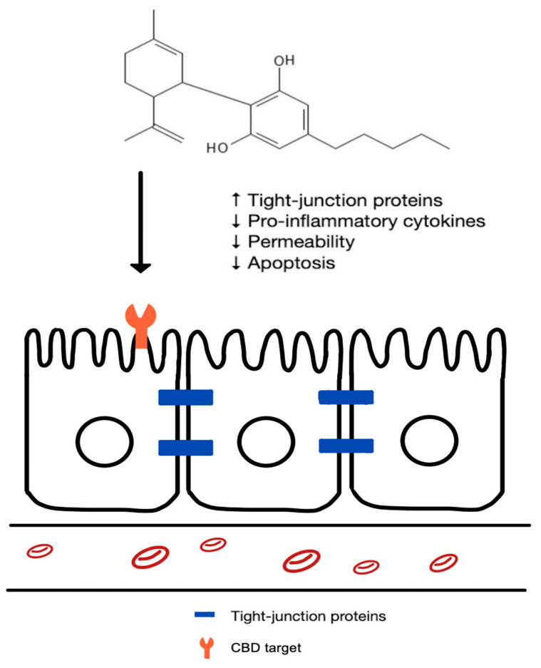 PMC11475737 – cells-13-01618-f001