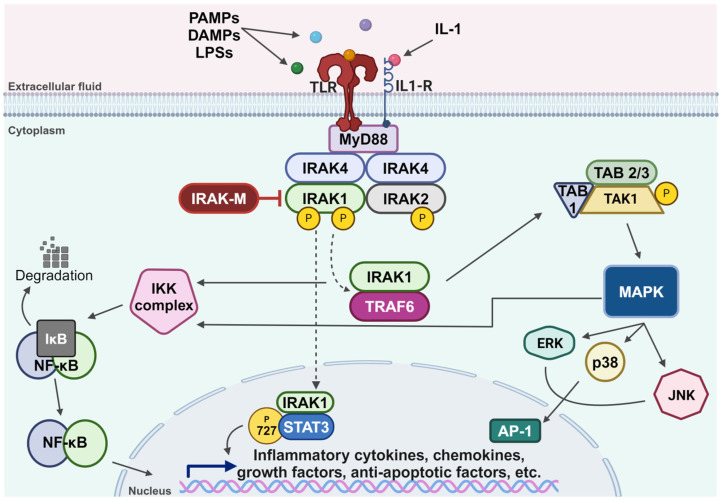 PMC11506742 – cells-13-01690-f001