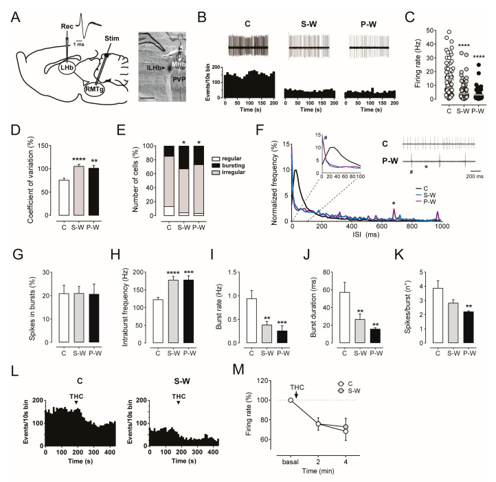 PMC11545051 – cells-13-01809-f005