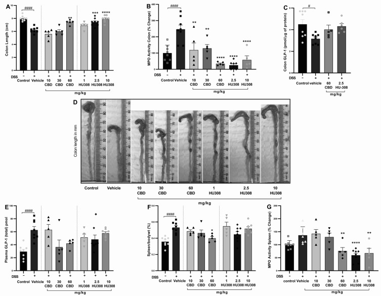 PMC11640522 – cells-13-02013-f003