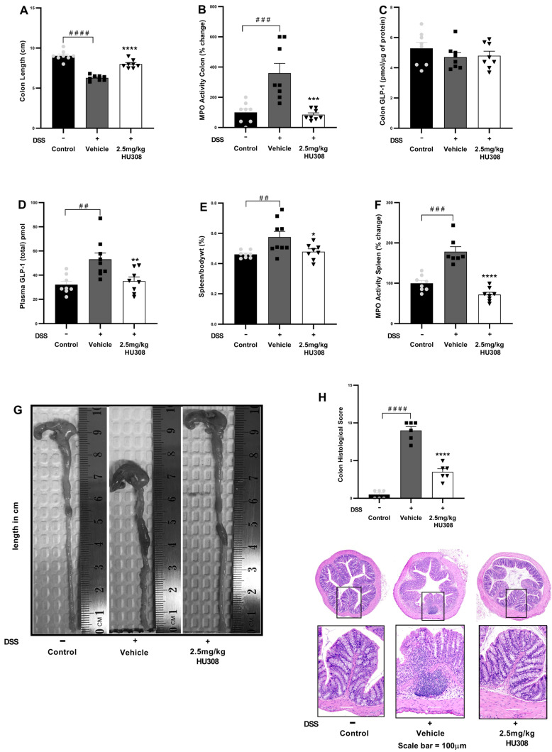PMC11640522 – cells-13-02013-f007