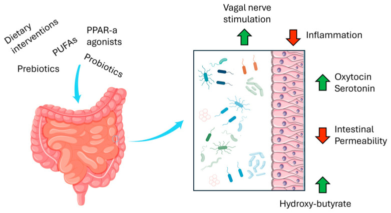 PMC11675073 – cells-13-02036-f001