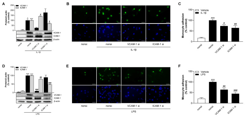 PMC11727187 – cells-13-02108-f012