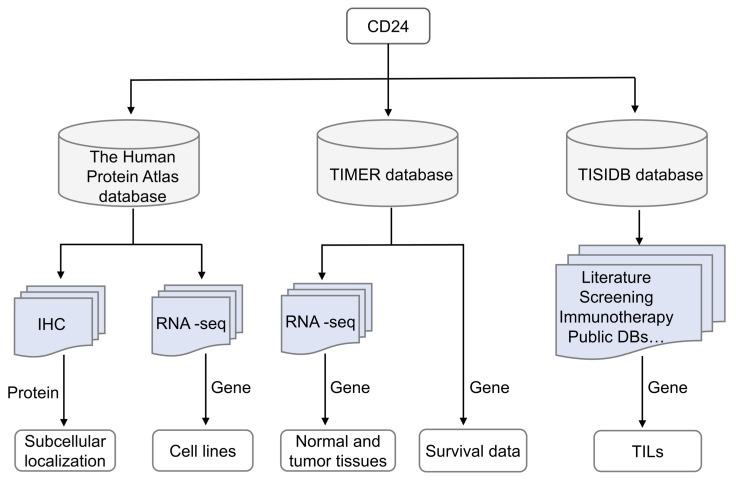 PMC11719756 – cells-14-00009-f001