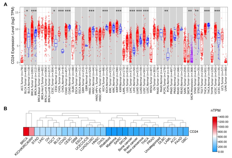 PMC11719756 – cells-14-00009-f002