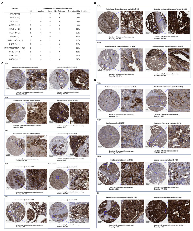 PMC11719756 – cells-14-00009-f004