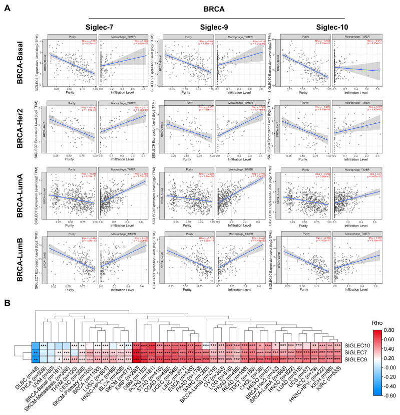 PMC11719756 – cells-14-00009-f006