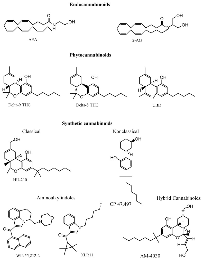 PMC11763397 – cells-14-00070-f001