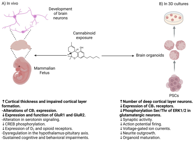 PMC11763397 – cells-14-00070-f003