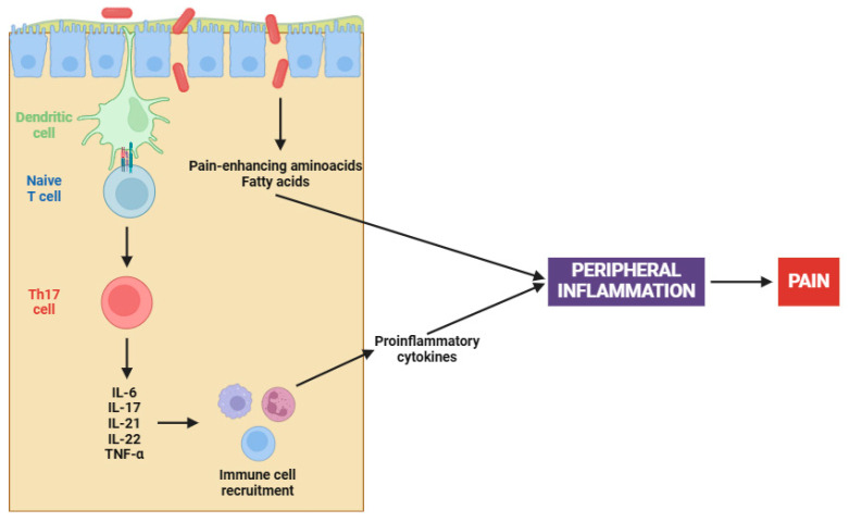 PMC11853252 – cells-14-00271-f001
