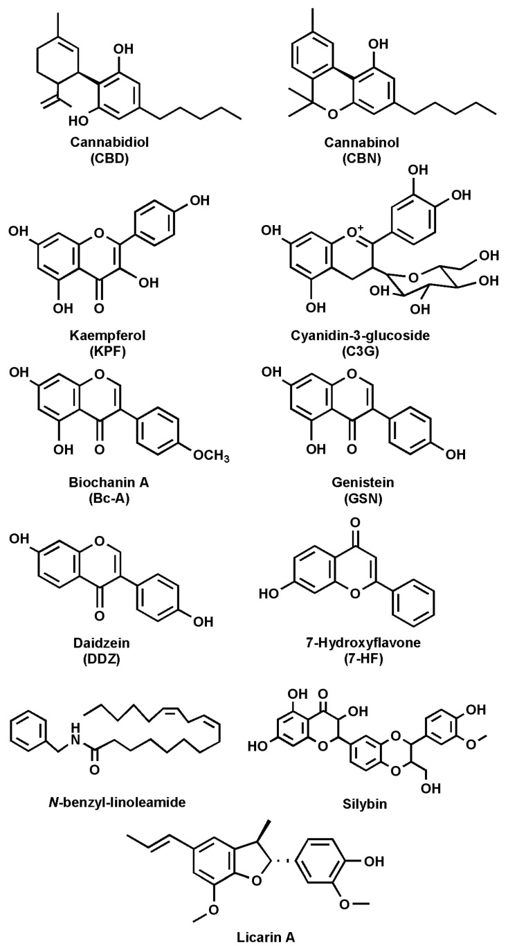 PMC11989041 – cells-14-00551-f002