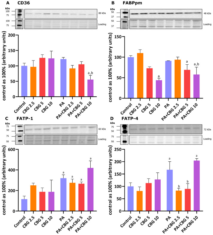 PMC12249120 – cells-14-00998-f002