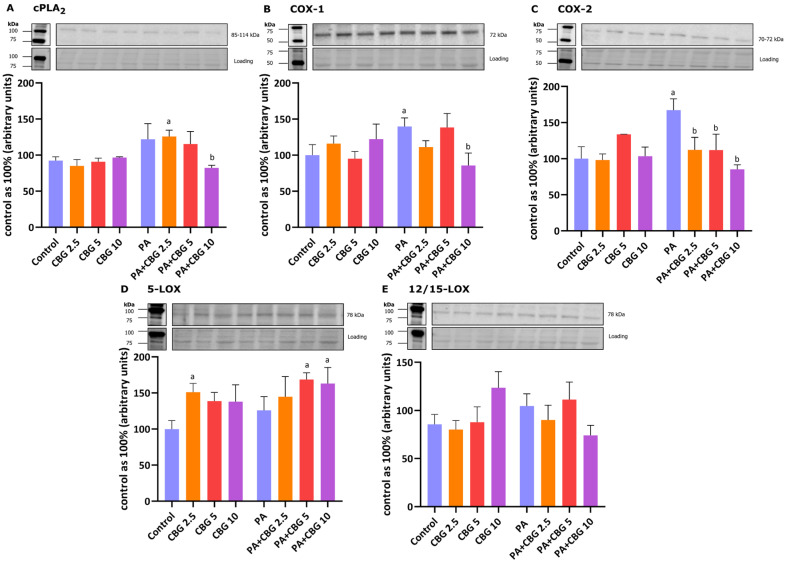 PMC12249120 – cells-14-00998-f006