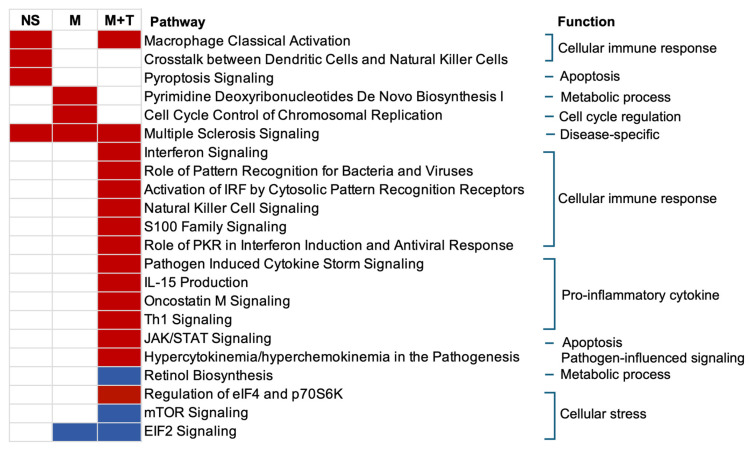 PMC12385114 – cells-14-01267-f003