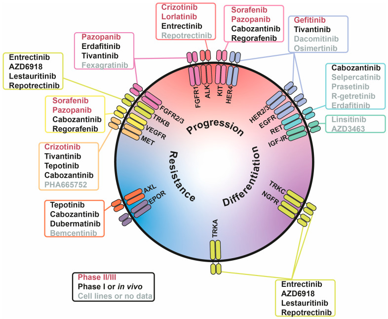 PMC12785096 – cells-15-00004-f002