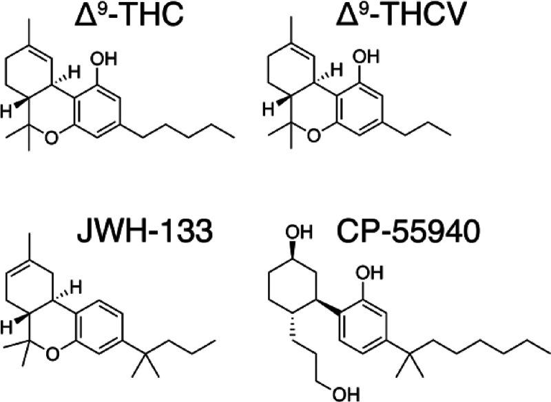 PMC10523433 – fig1