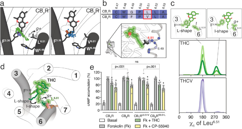 PMC10523433 – fig3