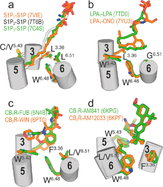 PMC10523433 – fig5