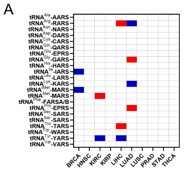 PMC9324904 – cimb-44-00207-f006