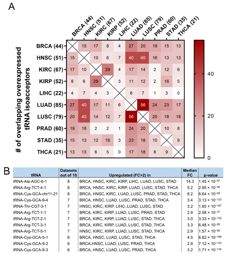 PMC9324904 – cimb-44-00207-f007