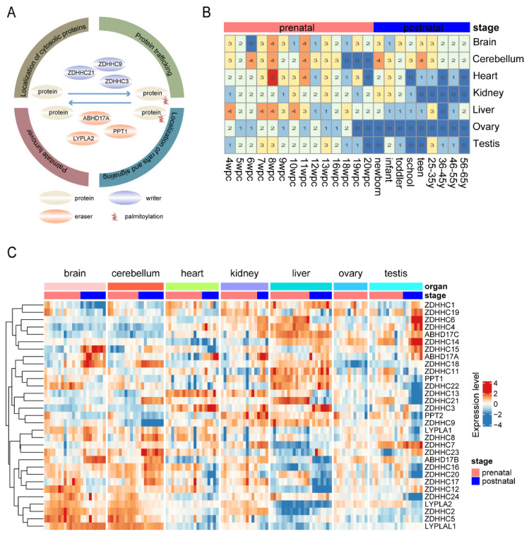 PMC9600046 – cimb-44-00306-f001