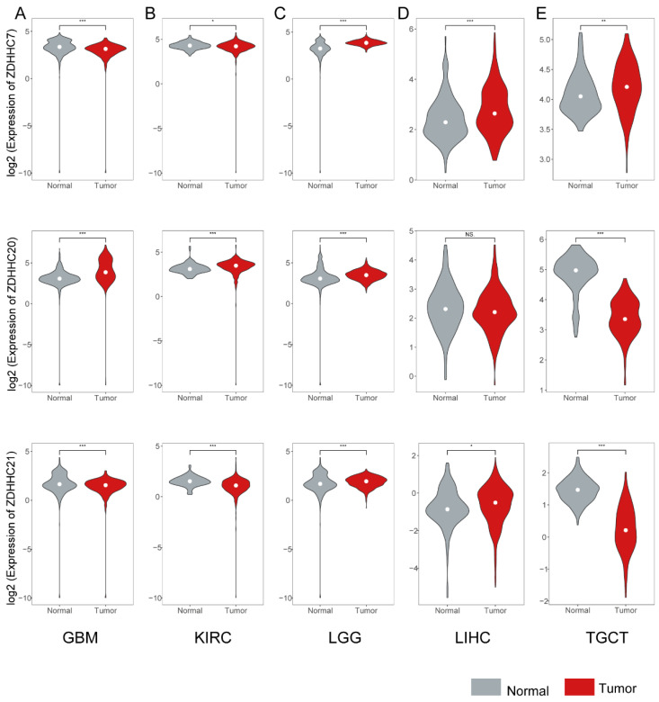 PMC9600046 – cimb-44-00306-f003