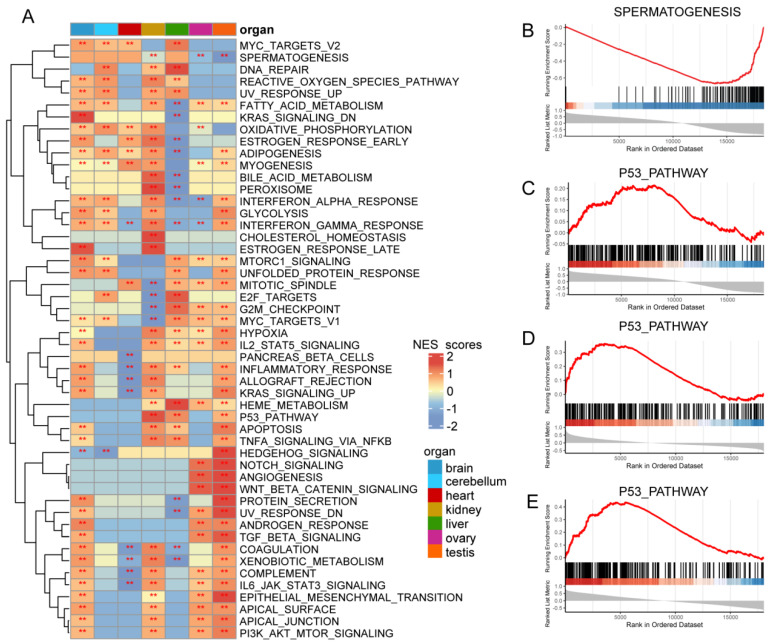 PMC9600046 – cimb-44-00306-f008