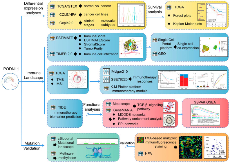 PMC10378008 – cimb-45-00386-f001