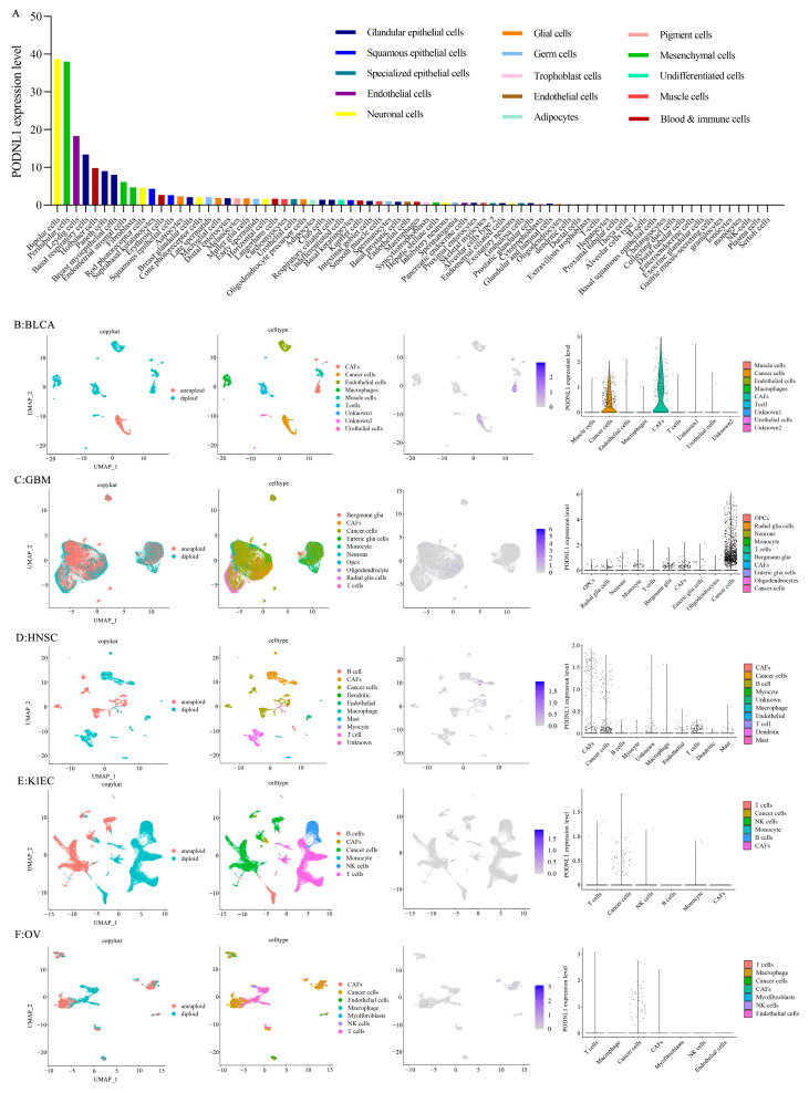 PMC10378008 – cimb-45-00386-f005