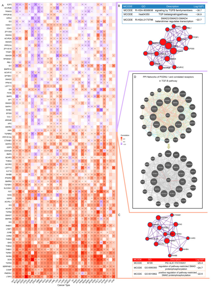 PMC10378008 – cimb-45-00386-f007
