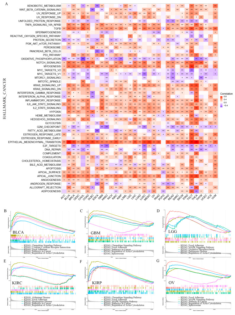 PMC10378008 – cimb-45-00386-f009