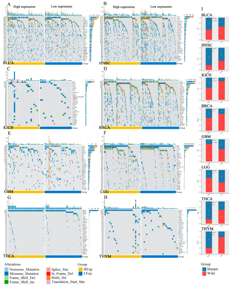 PMC10378008 – cimb-45-00386-f011