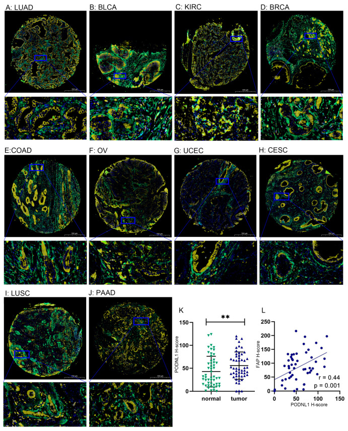 PMC10378008 – cimb-45-00386-f013
