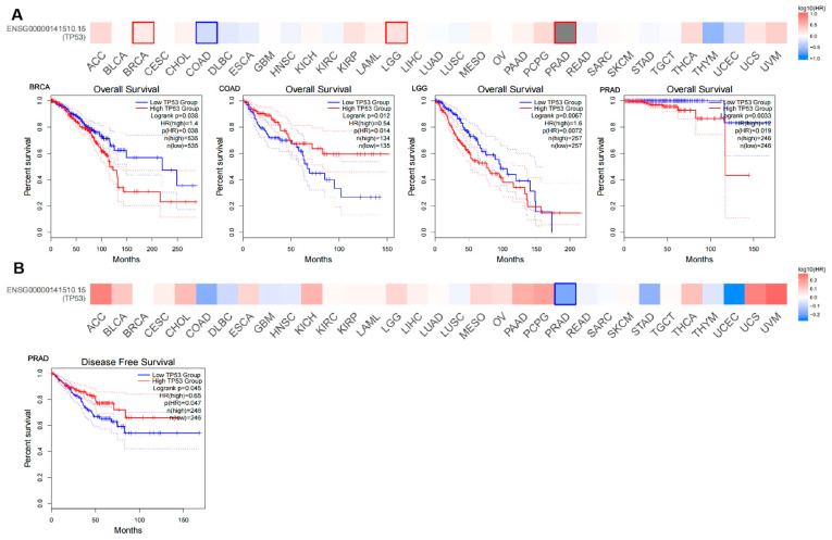 PMC10742156 – cimb-45-00601-f002