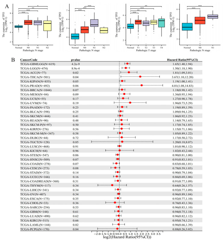 PMC10742156 – cimb-45-00601-f003