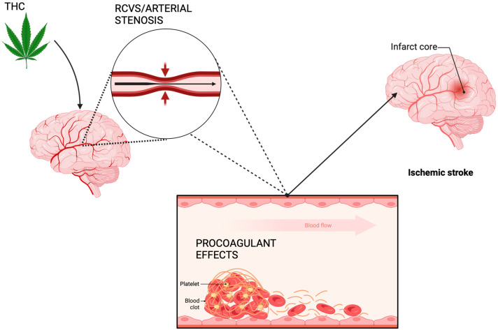 PMC11048784 – cimb-46-00196-f001