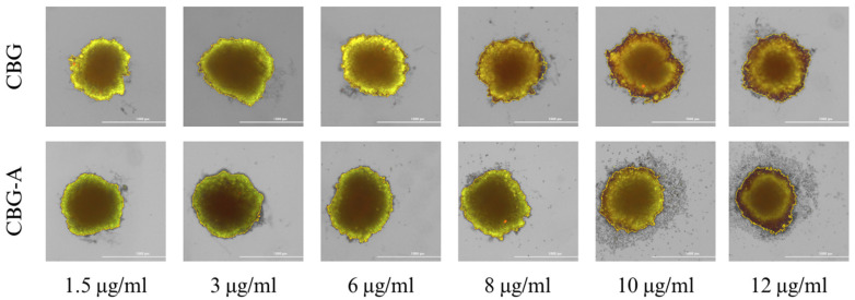 PMC11048930 – cimb-46-00227-f006