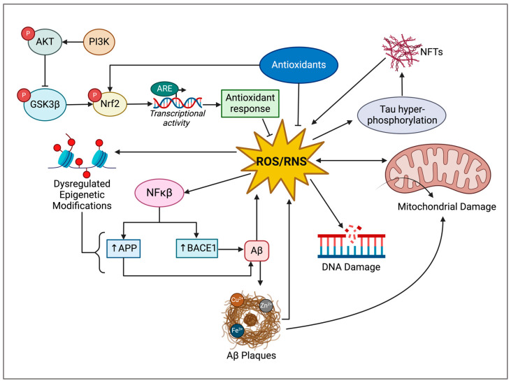 PMC11120237 – cimb-46-00266-f004
