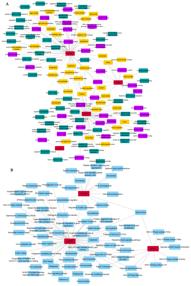 PMC11430384 – cimb-46-00600-f001