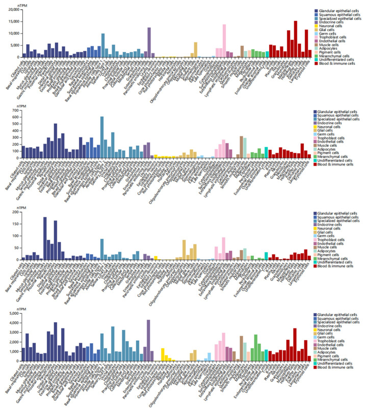 PMC11430384 – cimb-46-00600-f009