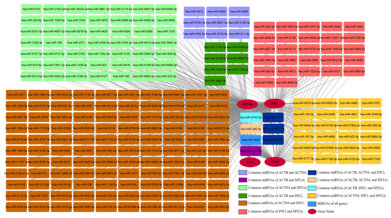PMC11430384 – cimb-46-00600-f012