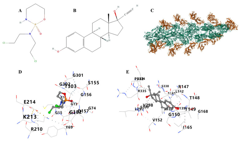 PMC11430384 – cimb-46-00600-f013