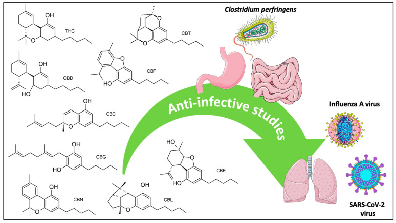PMC11941704 – cimb-47-00185-f001