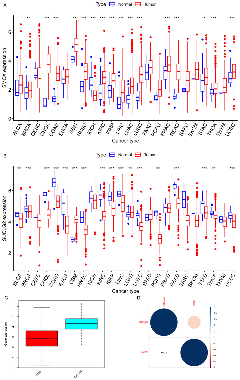 PMC12191581 – cimb-47-00465-f001