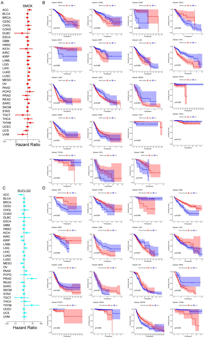 PMC12191581 – cimb-47-00465-f002