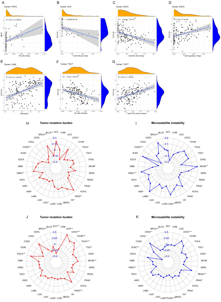 PMC12191581 – cimb-47-00465-f003
