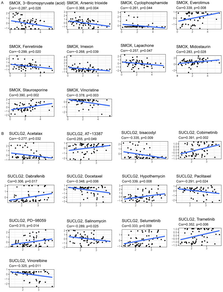 PMC12191581 – cimb-47-00465-f005