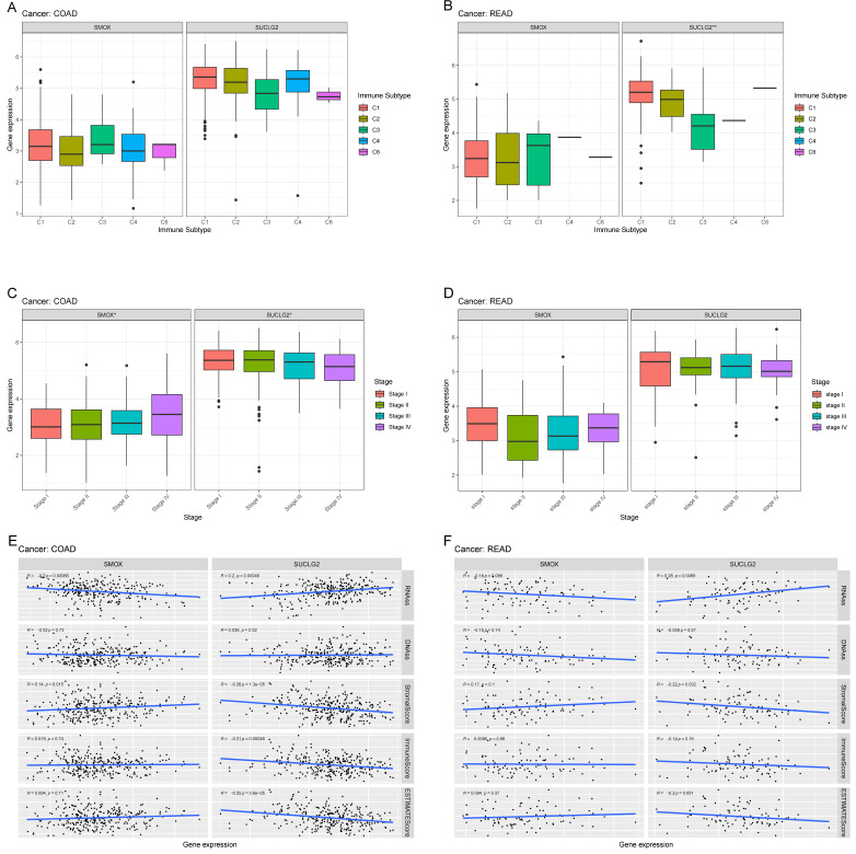 PMC12191581 – cimb-47-00465-f007