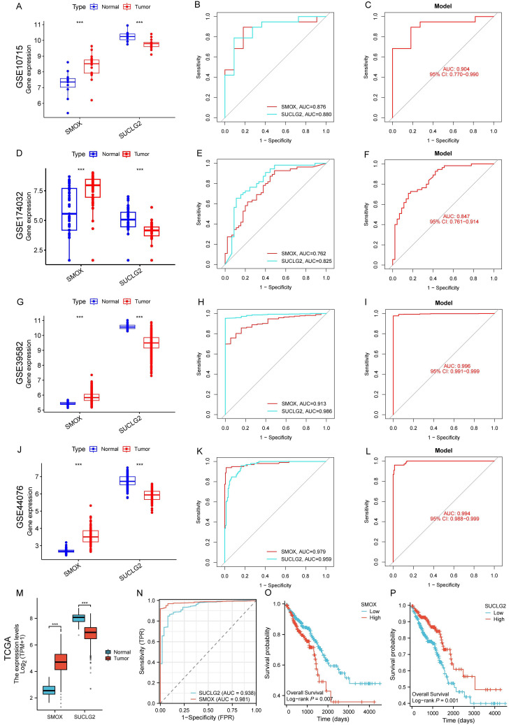 PMC12191581 – cimb-47-00465-f008